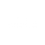 Wizits