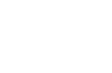 Wizits
