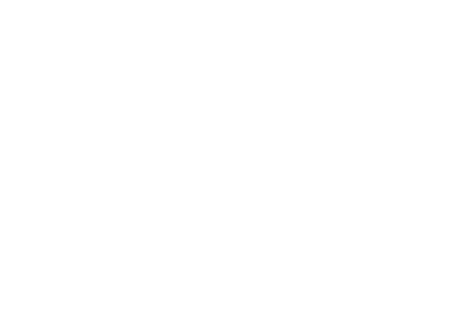 Wizits