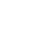 Game Bear