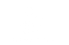 Game Bear